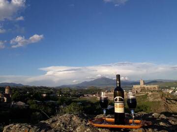 Фотографии Гостевой дом wine garden rabati г. Ахалцихе (Грузия) №1 Фото Гостевой дом wine garden rabati г. Ахалцихе 1