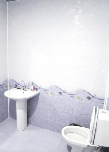 Фото номера Бюджетный двухместный номер с 1 кроватью Гостевой дом Red house г. Ахалцихе 7